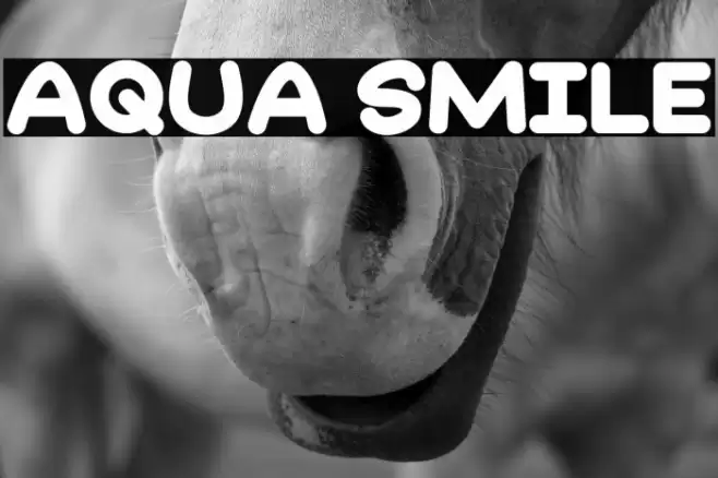 Aqua Smile Font examples