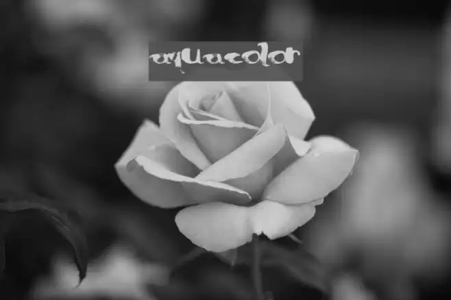 AquaColor Font examples