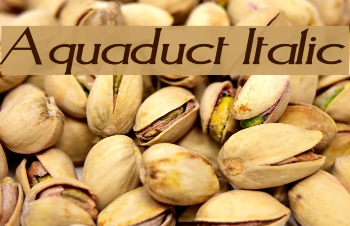 Aquaduct Italic Font examples