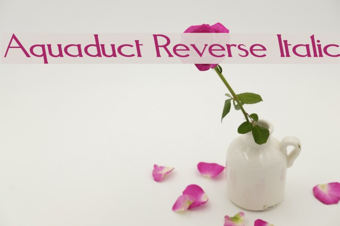Aquaduct Reverse Italic Font examples