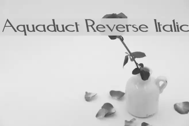 Aquaduct Reverse Italic Schriftart examples