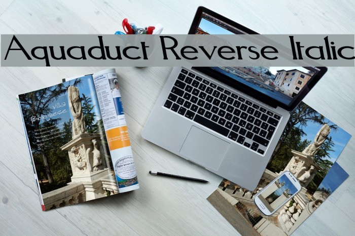 Aquaduct Reverse Italic Font examples