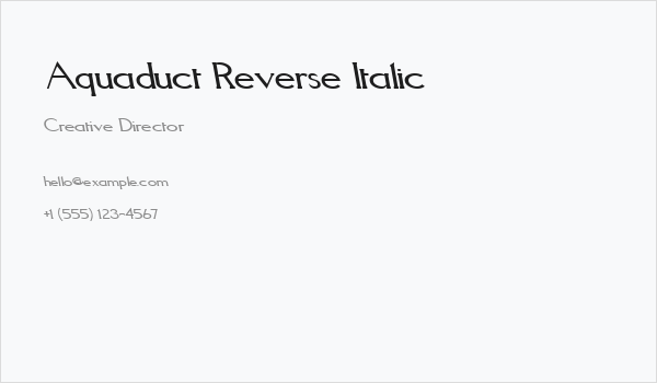 Aquaduct Reverse Italic Business Card