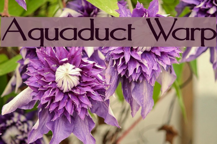 Aquaduct Warp Font examples