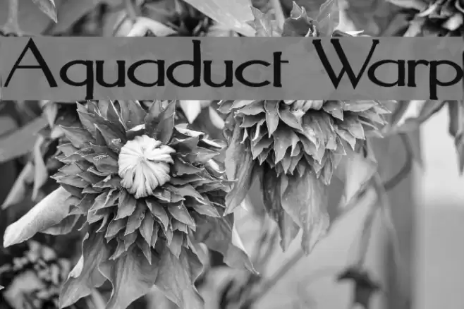 Aquaduct Warp Шрифта examples