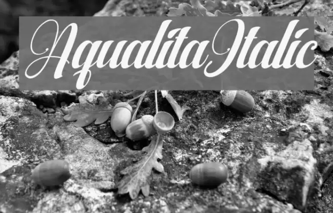 AqualitaItalic Font examples
