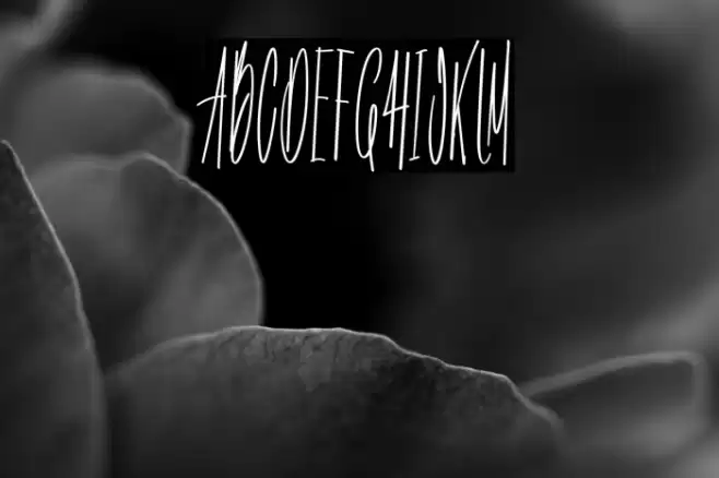 Aquality Handmade Font examples