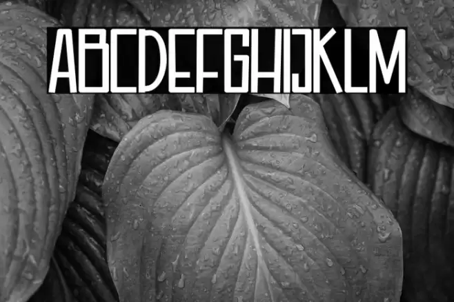 Aquarilla Font examples