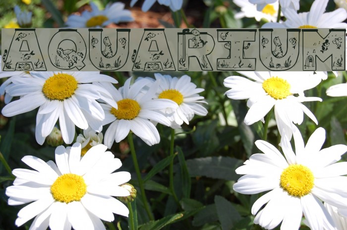 Aquarium Font examples