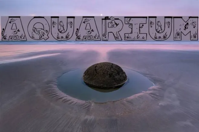 Aquarium Example 2