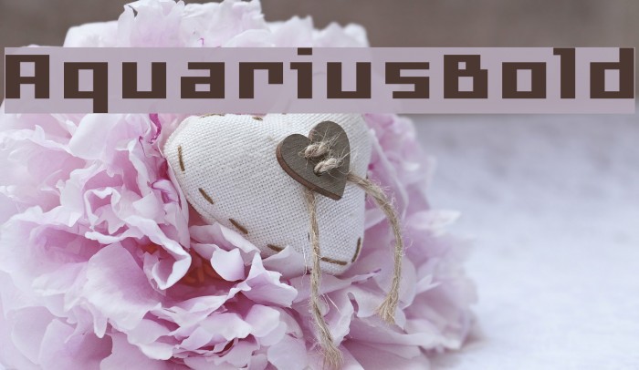 AquariusBold Example 1