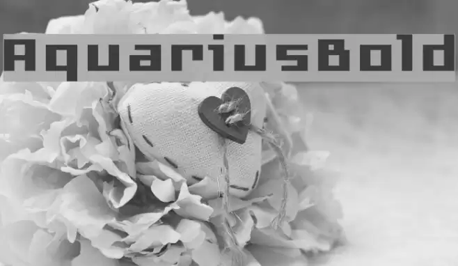 AquariusBold Font examples