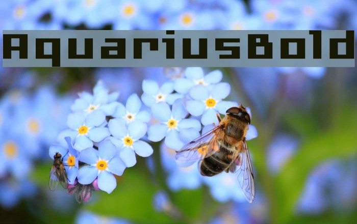 AquariusBold Example 3