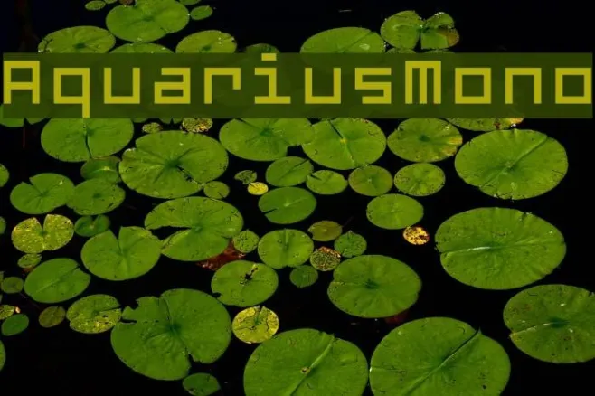 AquariusMono Example 3