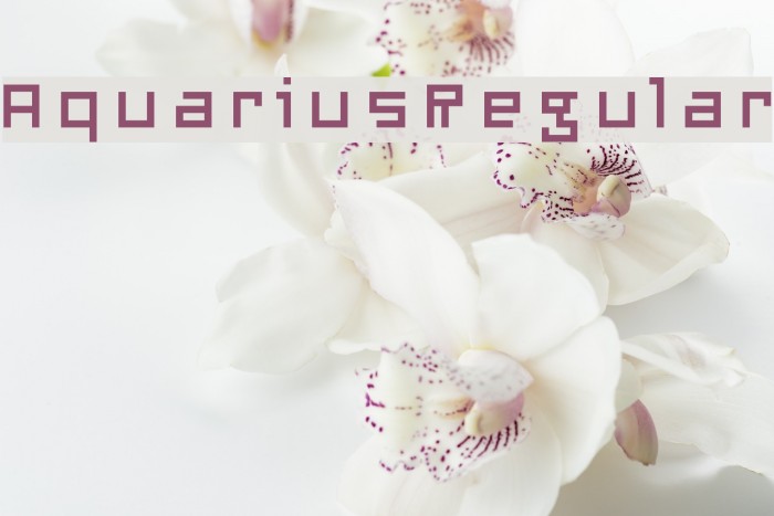 AquariusRegular Example 2