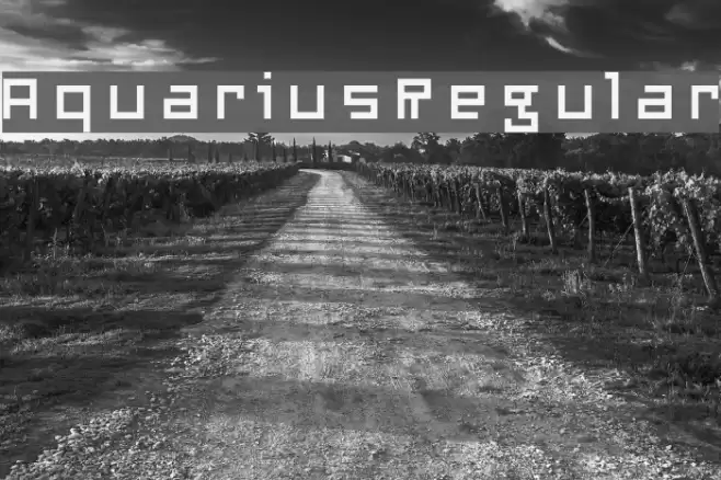 AquariusRegular Font examples
