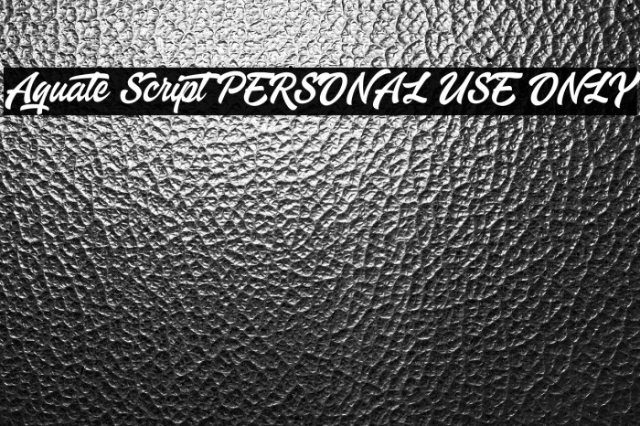 Aquate Script PERSONAL USE ONLY Example 1