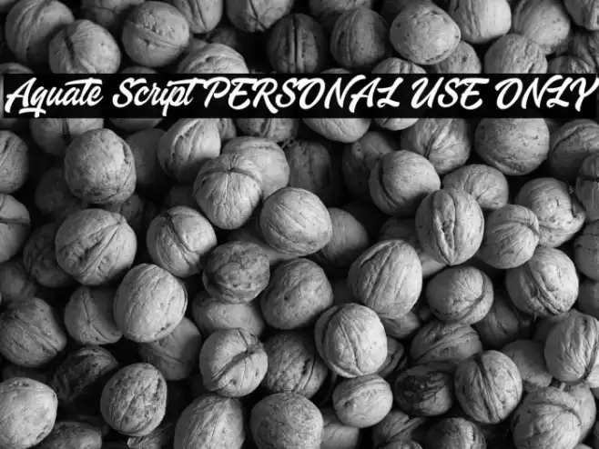 Aquate Script PERSONAL USE ONLY Font examples