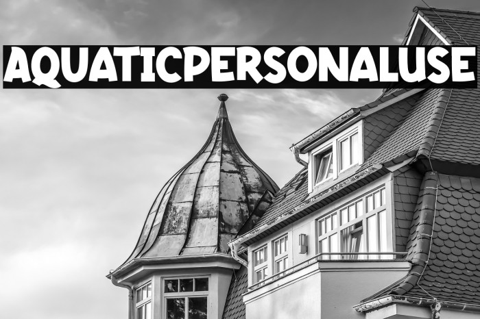 AquaticPersonalUse Example 1