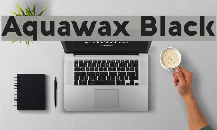 Aquawax Black Font examples