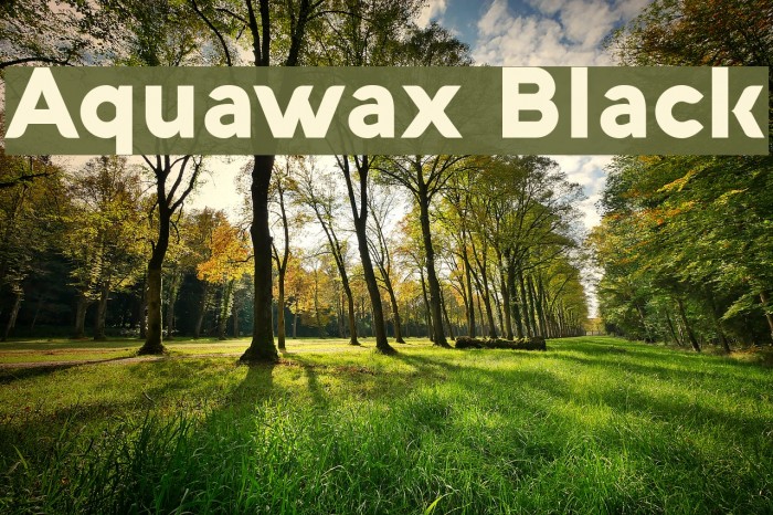 Aquawax Black Font examples