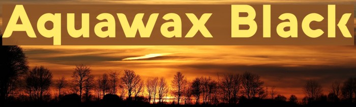 Aquawax Black Font examples