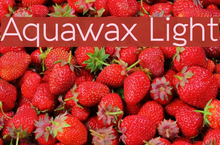 Aquawax Light Font examples