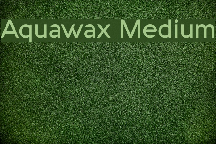 Aquawax Medium Font examples