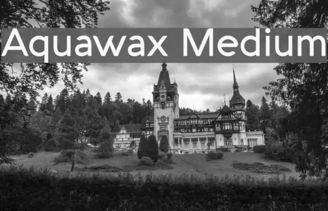Aquawax Medium Font examples