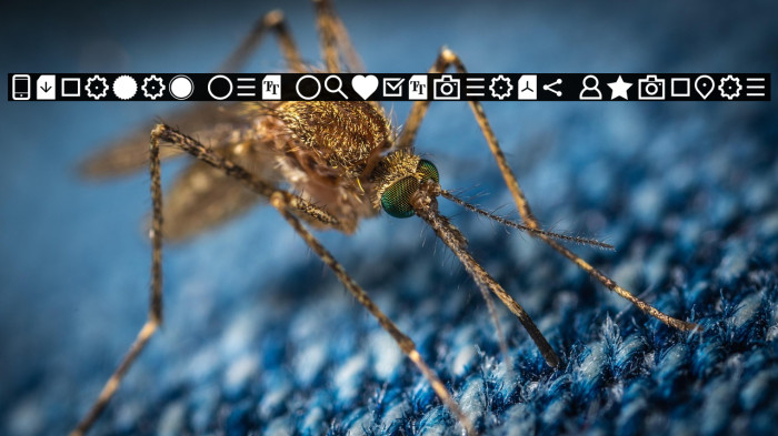 Aquawax Pro Pictograms Regular Example 1