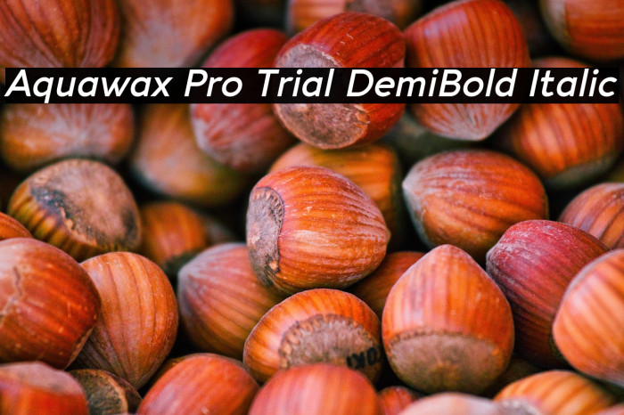 Aquawax Pro Trial DemiBold Italic Example 2
