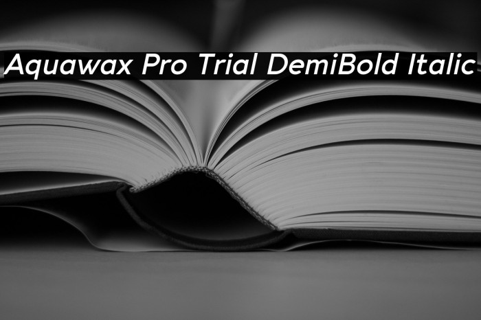 Aquawax Pro Trial DemiBold Italic Example 3