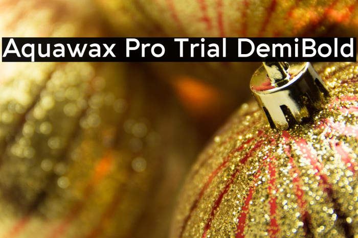 Aquawax Pro Trial DemiBold Example 3