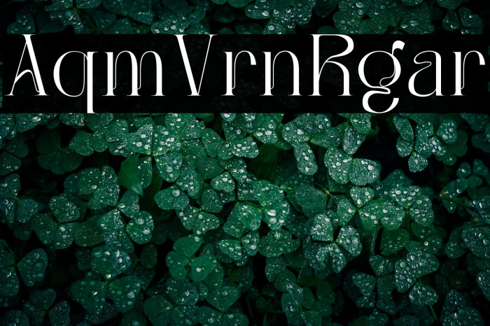 Aqub - Demo Version Regular Example 2