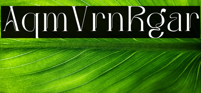 Aqub - Demo Version Regular Example 3