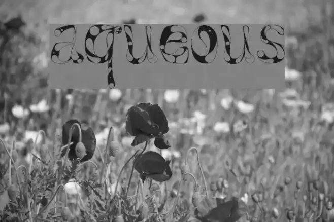 Aqueous Font examples