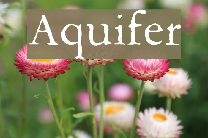 Aquifer Font examples
