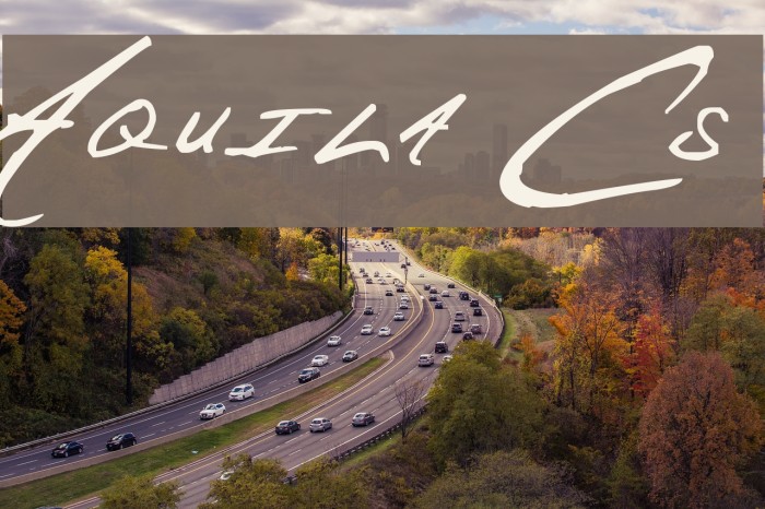 Aquila Cs Font examples