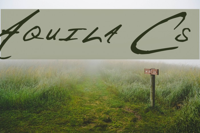Aquila Cs Font examples