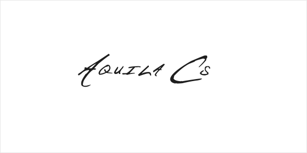 Aquila Cs Logo