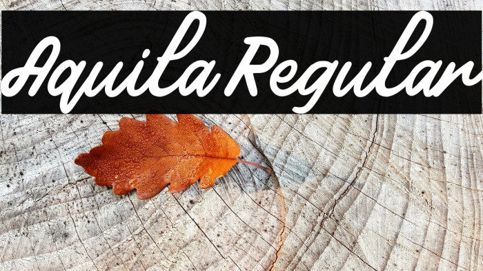 Aquila Regular Шрифта examples