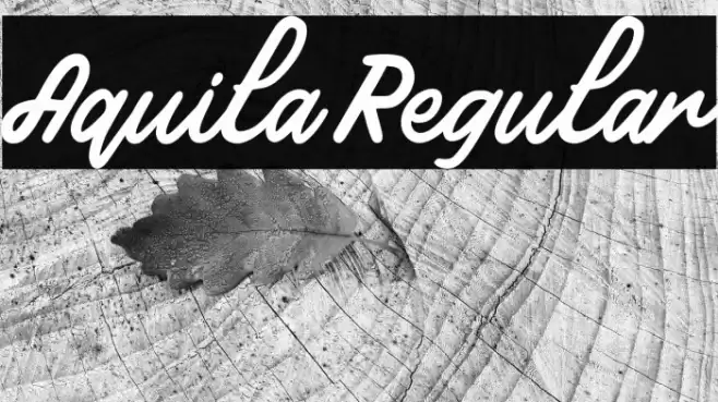 Aquila Regular Font examples