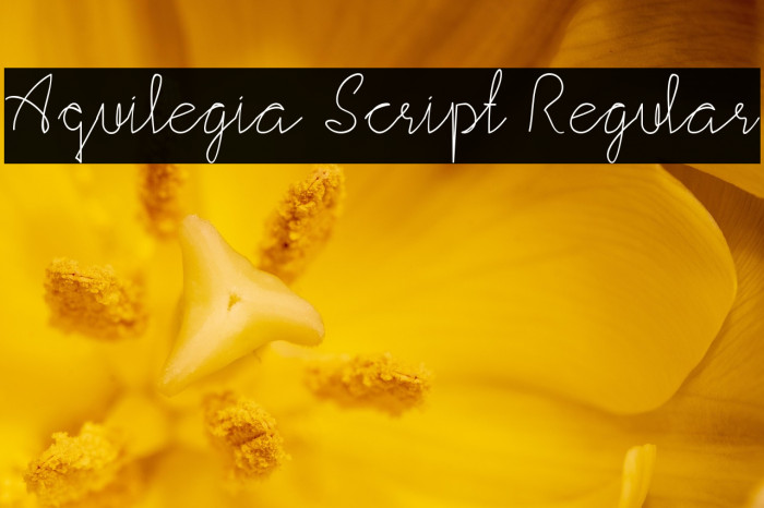 Aquilegia Script Regular Example 1