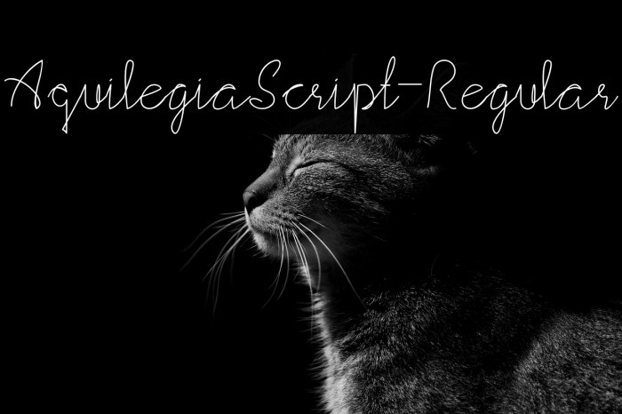 AquilegiaScript-Regular Example 1