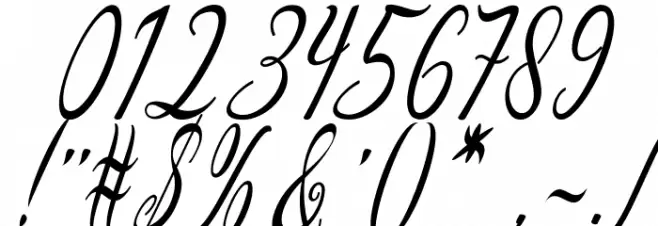 Aquilera Script Regular Font OTHER CHARS