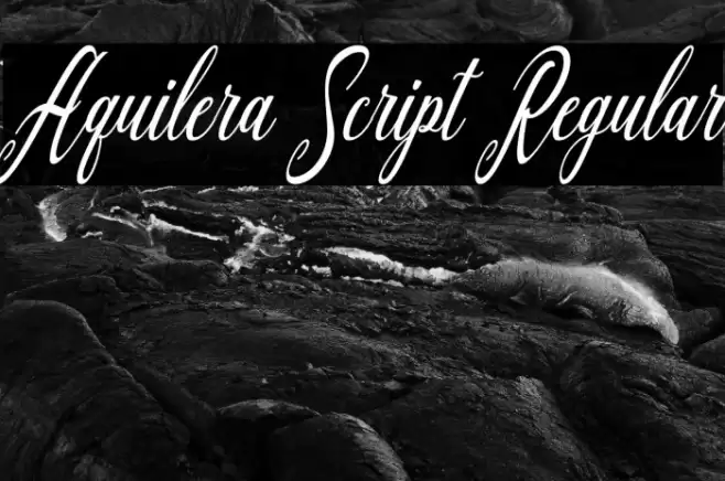 Aquilera Script Regular Font examples
