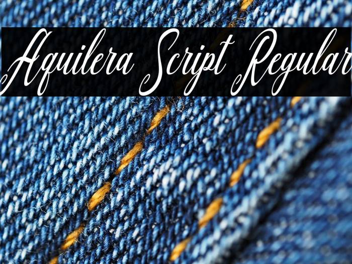 Aquilera Script Regular Example 2