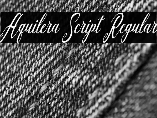 Aquilera Script Regular Font examples