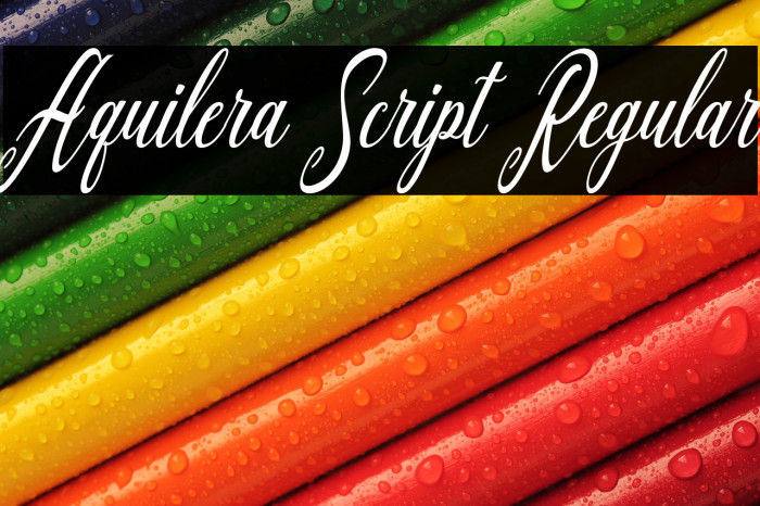 Aquilera Script Regular Example 3