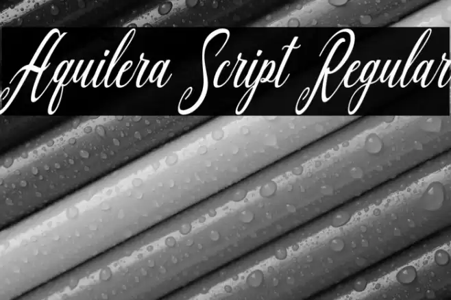 Aquilera Script Regular Font examples